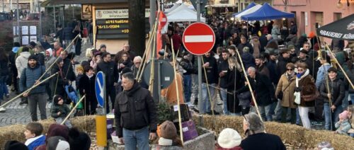 Sagra del Cavolo, un altro successo. A Montalto Dora 13mila visitatori