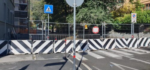 Affidato l’abbattimento degli olmi pericolanti in via Pollio Salimbeni