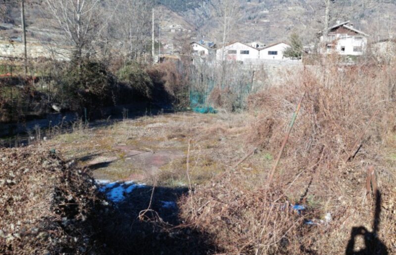 Il campo da tennis coperto dalle sterpaglie