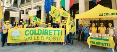 Un flash mob di sensibilizzazione sulla problematica dei cinghiali