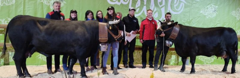 A sinistra la vincitrice del concorso morfologico internazionale Baghera di Maura Mochet e Andrea Chevalier di Pré-Saint-Didier insieme a Mini Gogo dell’azienda Gaec de l’Herens, classificatasi seconda