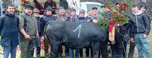Moudzon: doppietta di Piero Busso al debutto con Fuoco e Attila