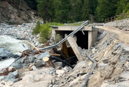 Post alluvione, arrivano i bonifici dello Stato. Un flop i mutui a tasso zero della Regione