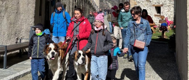 Alcune delle attività con i bellissimi cani San Bernardo che si sono svolte domenica scorsa, 30 marzo, per la gioia di grandi e piccini 1