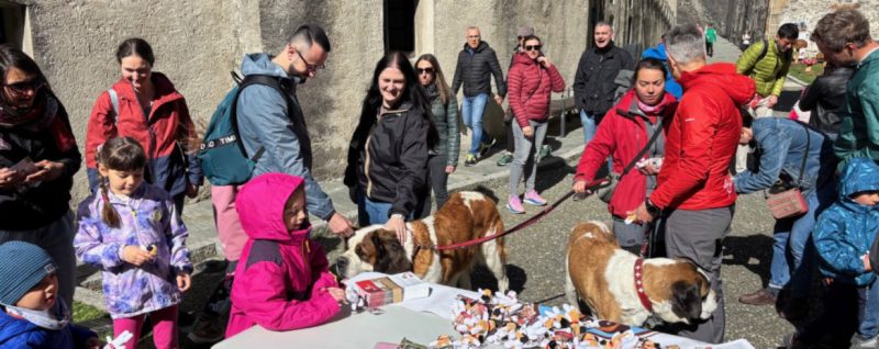Alcune delle attività con i bellissimi cani San Bernardo che si sono svolte domenica scorsa, 30 marzo, per la gioia di grandi e piccini