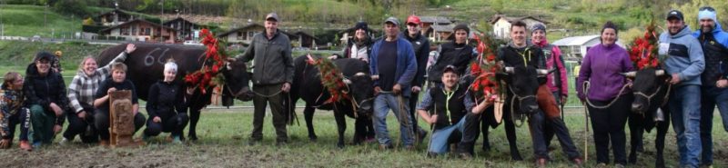 BATTAGLIA DEI MANZI DI QUART: SABATO SCORSO HANNO VINTO ORSIÈRE, TONNÈRE, SUISSE E BAMBINÒ