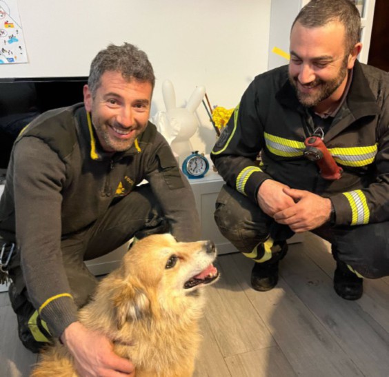 Salvato dai pompieri un cane rimasto incastrato in un tubo a Saint-Vincent