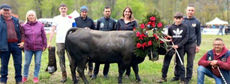Manda di Dario Betemps che hanno conquistato il bosquet rispettivamente nel secondo e nel terzo peso
