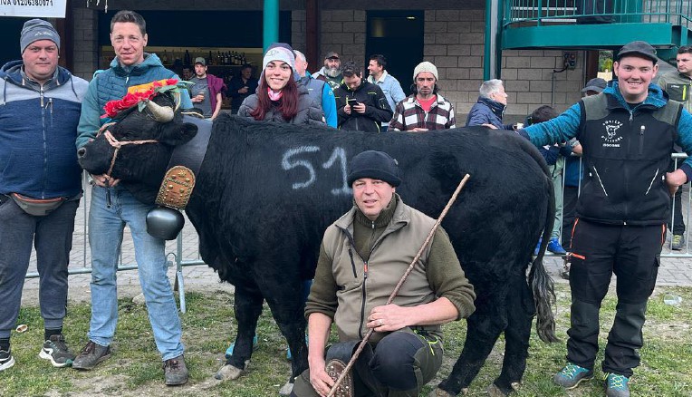 Oltre cento manzi si sono sfidati alla battaglia di sabato a Montjovet