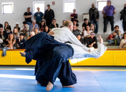 SUCCESSO PER IL FESTIVAL DELLE ARTI MARZIALI