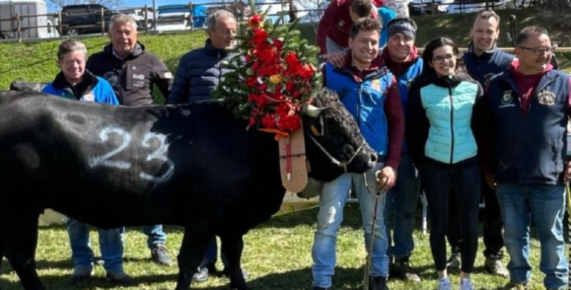 e Fribourg di Mathieu Gnémaz (manze oltre i 4 anni)
