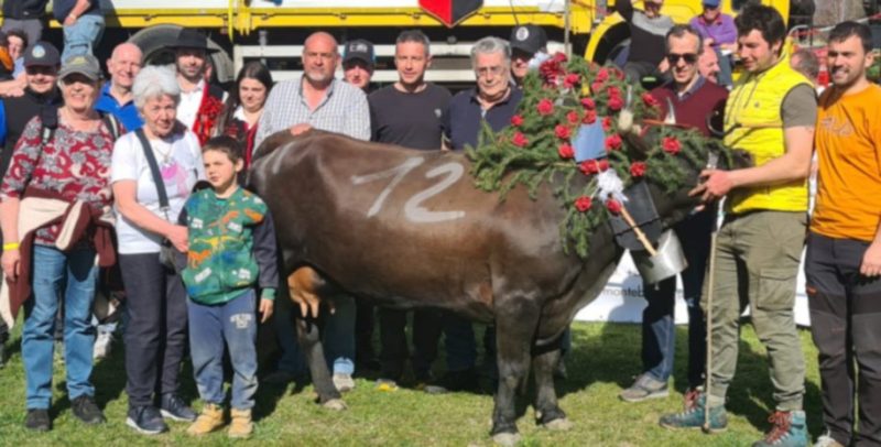 e Vedette di Michele Bionaz che hanno conquistato il bosquet rispettivamente nel secondo e nel terzo peso