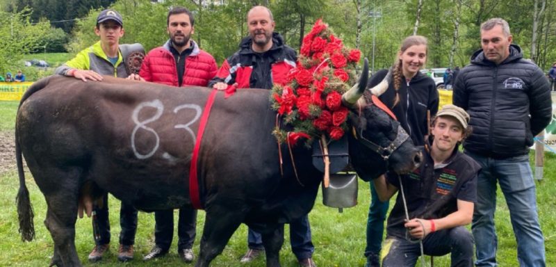 Baticha di Angelo Letey che a Valpelline ha vinto in prima categoria
