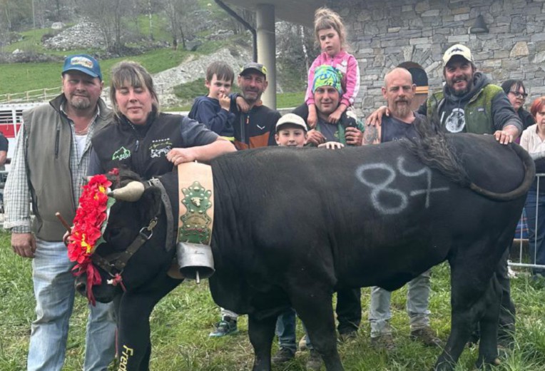 Centodieci manzi a Oyace per l’ultimo incontro di primavera. Sabato scorso le vittorie di Mora, Reinetta, Mira e Rhodesia