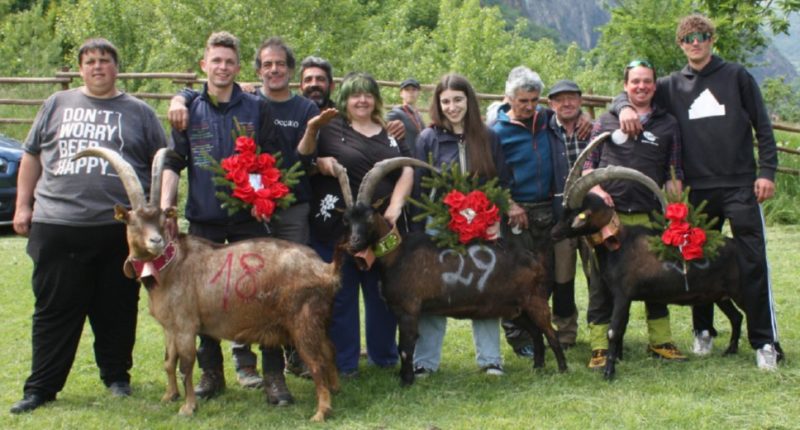Chèvres: nell’eliminatoria del concorso regionale a Donnas i bosquet vanno a Bomba, Brina e Tiger