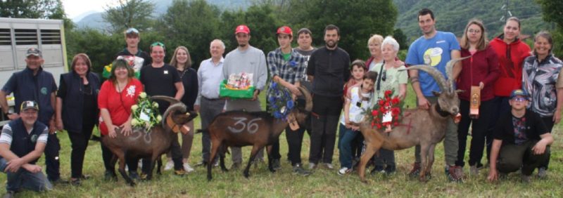 Le regine delle capre di Brissogne: Leoncina di Patrick Bionaz, Merveille dei Frères Contoz e Mandoline di Alex Chamois