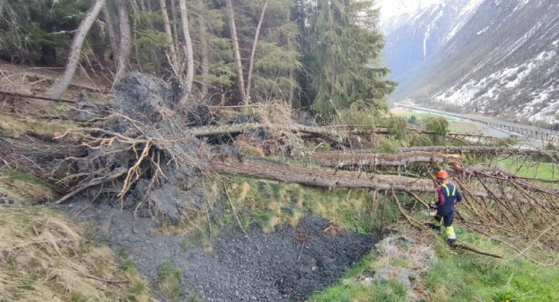per pulire ru e strade poderali