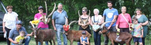 Batailles des chèvres: vincono Jolie Coeur, Bufera ed Elettra. Dedicato un premio a Camillo Brunet