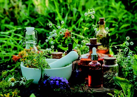 Naturopatia disciplina di “medicina complementare”