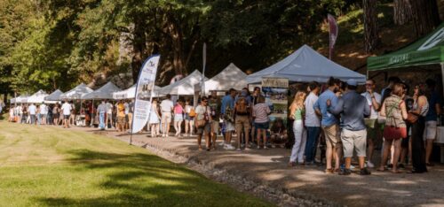 “Vini in Vigna”: in settecento a Châtillon. Funziona il binomio tra sapori e cultura