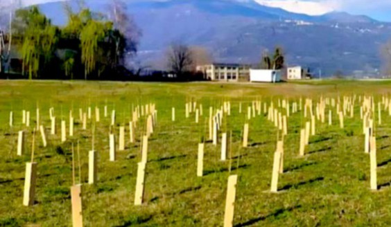 Montalto Dora, la cava di ghiaia si trasforma in un’area verde e in spazi destinati all’agricoltura