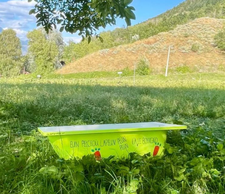 Le “vasche-abbeveratoio” diventano arredo urbano