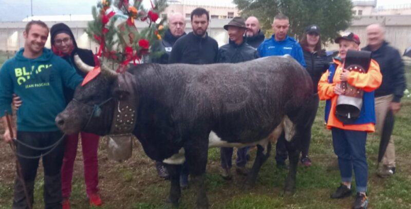 Batailles de reines: a Brissogne trionfano Paison, Furie e Diable