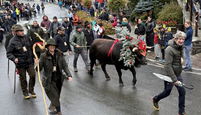 La Dézarpa diventa uno spettacolo. Grande festa sabato a Valtournenche