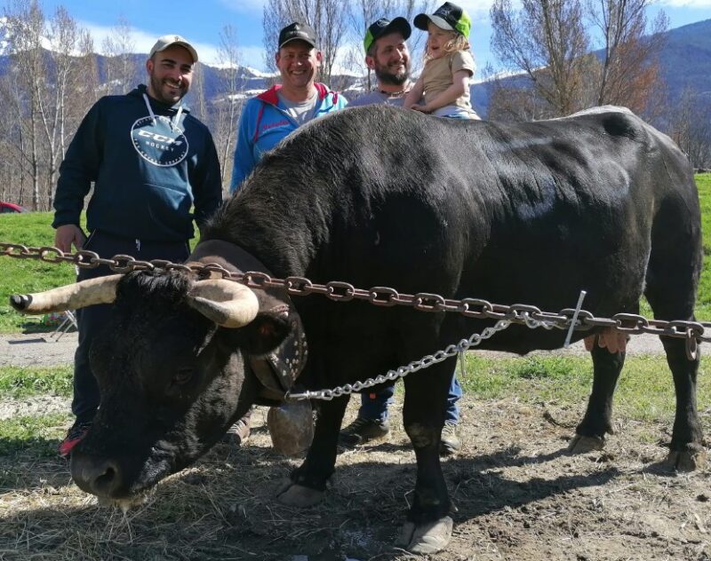 Lorenzo Dalbard e Malibù. Quando il combat final è una questione di amicizia