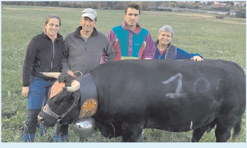 r albo d’oro del Combat du deuxième veau: la prima vincitrice fu reina des reines 2 anni dopo