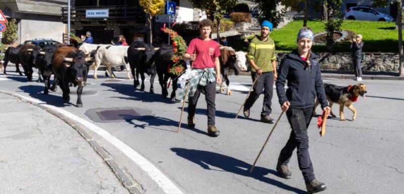 Il rito della dèsarpa anche a Courmayeur