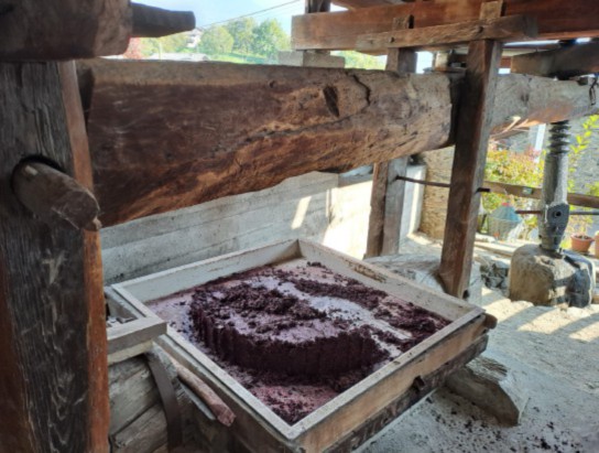 Stefano Viérin torchia la vinaccia nell’antico torchio di Pissin: “L’unico in funzione in Valle”