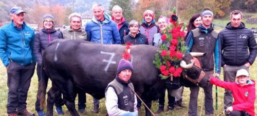 Allegra, Amoureuse e Taccon vincono a Antey. Staccati gli ultimi 12 “pass” per la finalissima