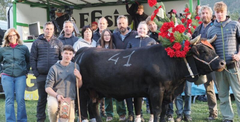 Merlitta di Paola Stevenin di Issime