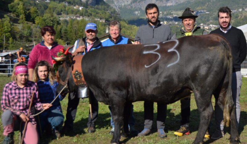 Moudzon: Monella, Mignonne, Surprise e Miracle vincono a Valtournenche. Ora l’attesa è per il Trophée Ville d’Aoste di sabato prossimo, 11 ottobre