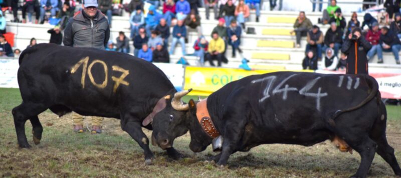 Farchetta (con il numero 107) negli ottavi contro Manda di Devis Ghirardo