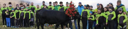La regina e il campione: Nus in festa