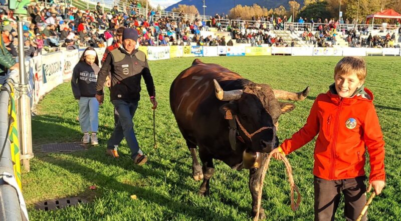 Lacrime di emozione e brindisi con il pubblico: il rito gioioso del giro dell’arena