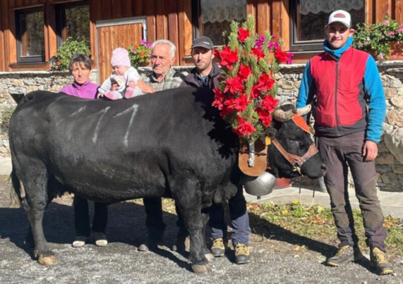 A Palmyre di Nello Girod il “Deuxième veau”: è già alla Regionale 2026. “Communautés de Montagnes”: successo di Bataille di Angelo Martig