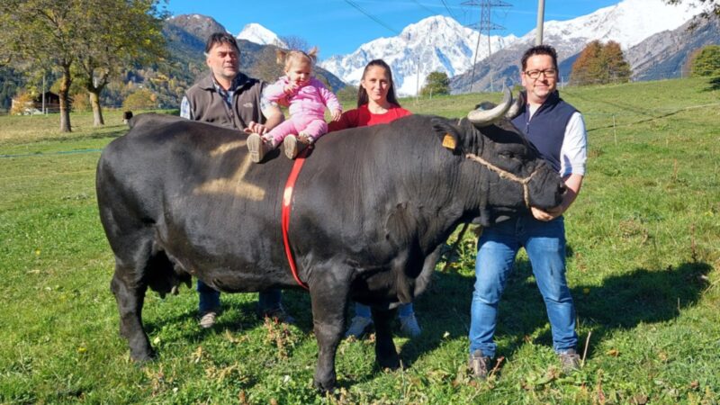 «Suisse è al top della carriera, uno spettacolo». Ymac Frassy di nuovo vincente in prima categoria
