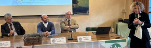 Cerotti e una crema per la pelle dal siero del latte. Gli straordinari risultati del progetto SaluteDerm