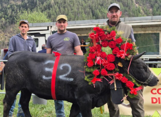 Moudzon a Valpelline e ad Aosta