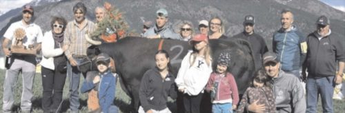 Caprice di Livio Pervier è tornata a vincere. Bosquet anche per Malizia e per Bambinò