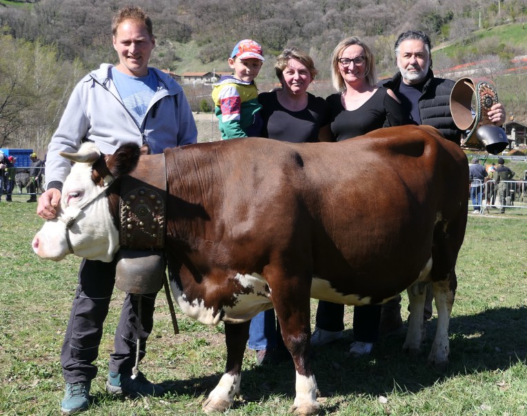 Le rassegne bovine a Quart e Villeneuve. Premiati i capi più belli e più produttivi