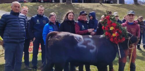 Manzi protagonisti a St-Christophe e Chambave