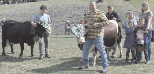 Rassegne a Etroubles, La Salle e Pont-Saint-Martin. Ecco i nomi delle bovine e degli allevatori premiati