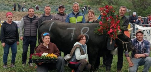 A Jovençan 5 qualificate per i Frères Quendoz. I bosquet sono andati a Quart e a Gressan