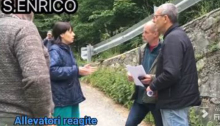 Dermatite bovina, è rivolta sulla rete. “Informazioni negate prima delle vaccinazioni”