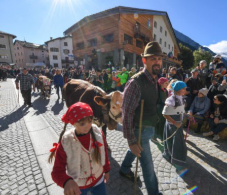 A Cogne sfilano le mandrie per la tradizionale Devétéya