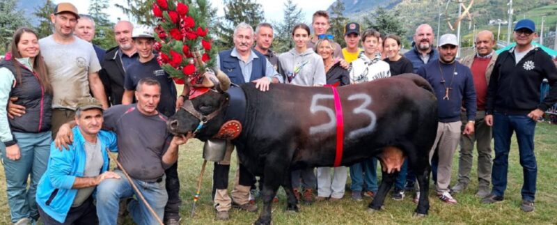 Fauvette di Gildo Bonin